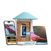 Birdfy Standard Smart Bird Feeder