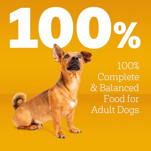 Pedigree Complete Nutrition Adult Small Dog Dry Dog Food, Grilled Steak & Vegetable Flavor, 14 lb. Bag