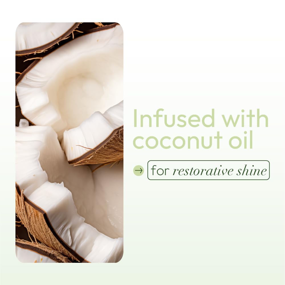 ORS Olive Oil Nourishing Sheen Spray Infused with Coconut for Restorative Shine Alcohol Free 2 Ounce