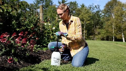 Flo-Master by Hudson Half-Gallon Home and Garden Handheld Sprayer