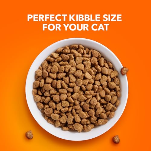 IAMS Proactive Health Adult Urinary Tract Health Dry Cat Food with Chicken, 7 lb. Bag