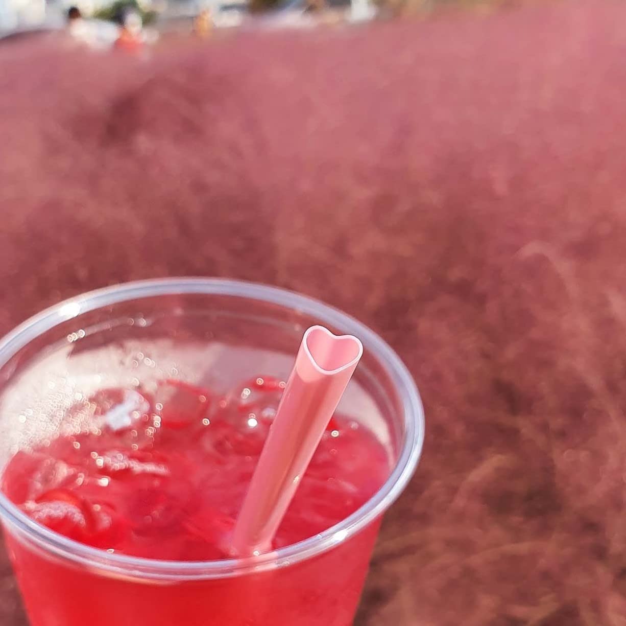 The best MOON 100pcs Heart Shaped Pink Straws Disposable Drinking Cute Straw Individually Wrapped Pink Plastic Straw Galentines Day, Cocktail, Birthday Party, Bridal Shower, Wedding Decorations