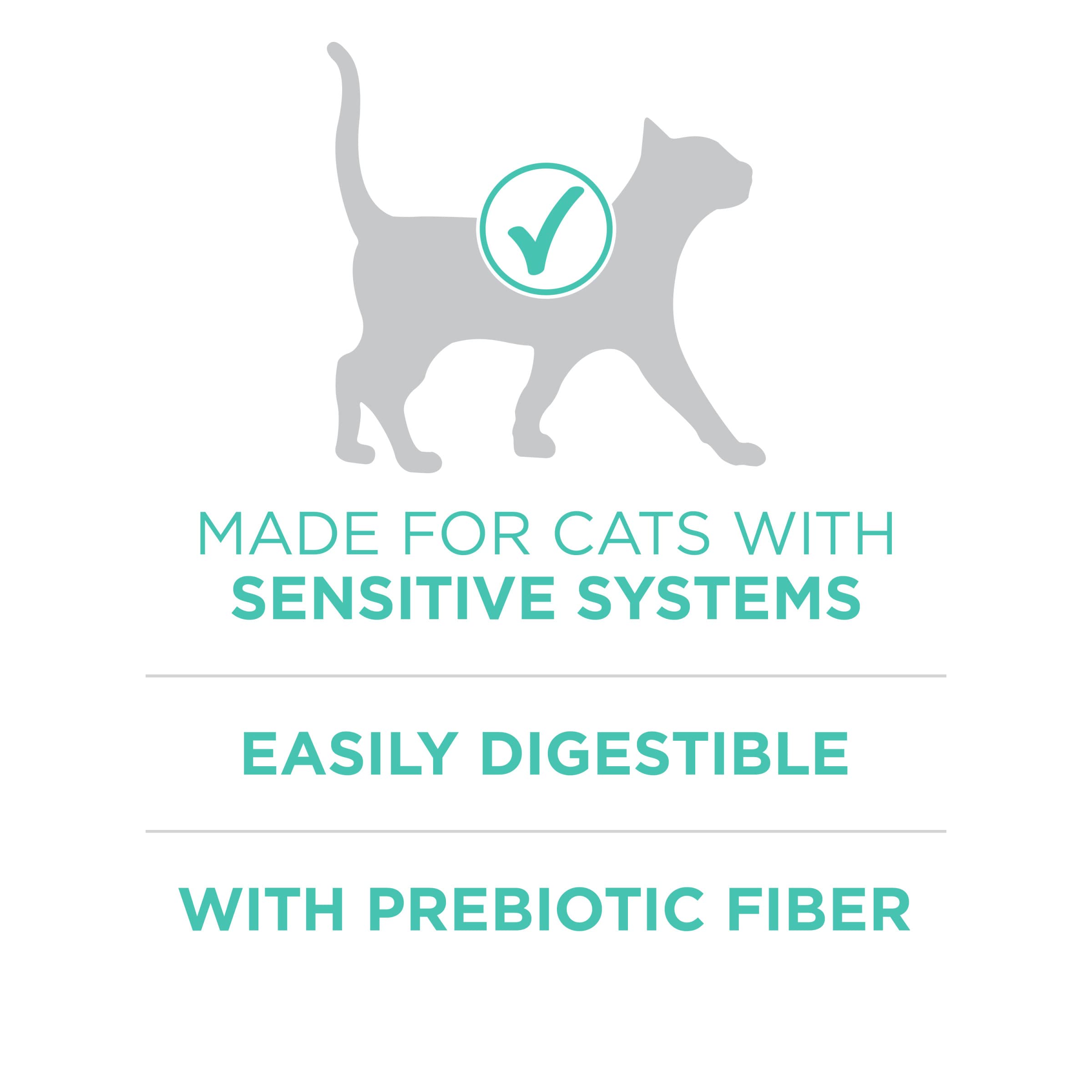 Purina ONE Sensitive Stomach, Sensitive Skin, Natural Dry Cat Food, +Plus Sensitive Skin and Stomach Formula - 16 lb. Bag