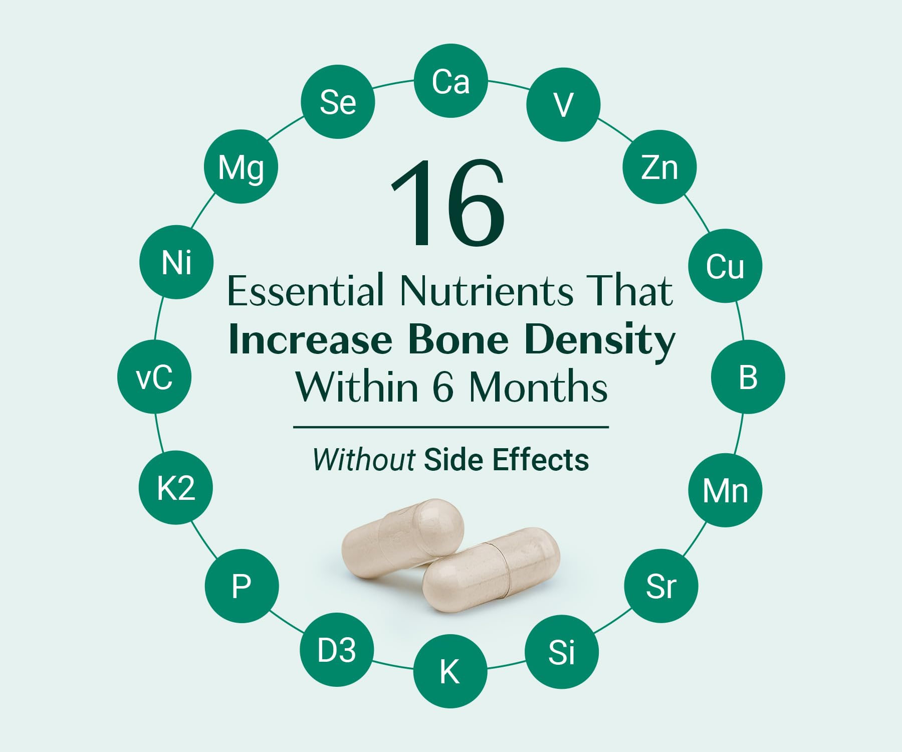 AlgaeCal - Bone Builder Pack for Bone Density Increase, Clinically Supported Plant Based Calcium Supplement & Strontium, Vitamins K2 (100mg), D3 (1600 IU), Magnesium & 16 Essential nutrients