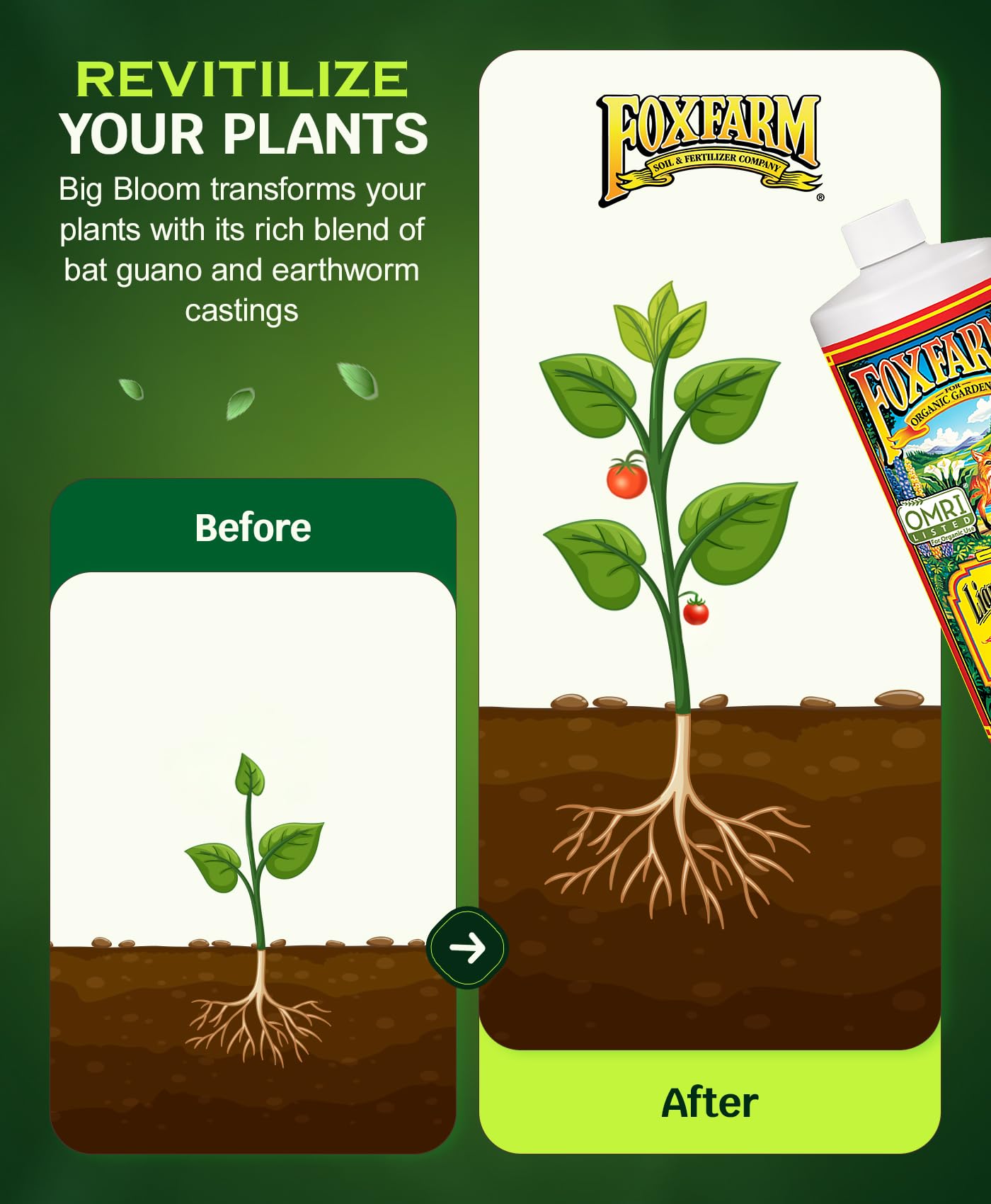 FoxFarm - Big Bloom Plant Food, Liquid Fertilizer Concentrate for Flowers, Fruits, and Vegetables, All Purpose Plant Fertilizer for Indoor & Outdoor Potted Plants, NPK 0-0.5-0.7 (Quart)