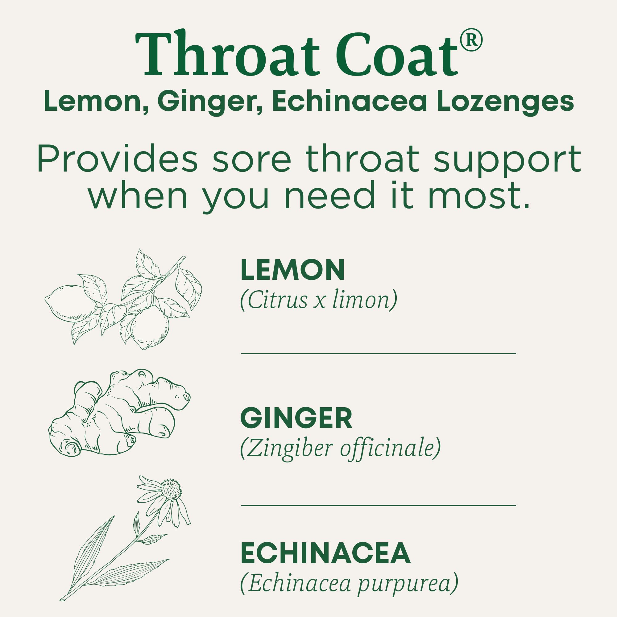 Traditional Medicinals Lozenges, Organic Throat Coat Lemon Ginger Echinacea, Sore Throat Support, 16 Individually Wrapped Lozenges