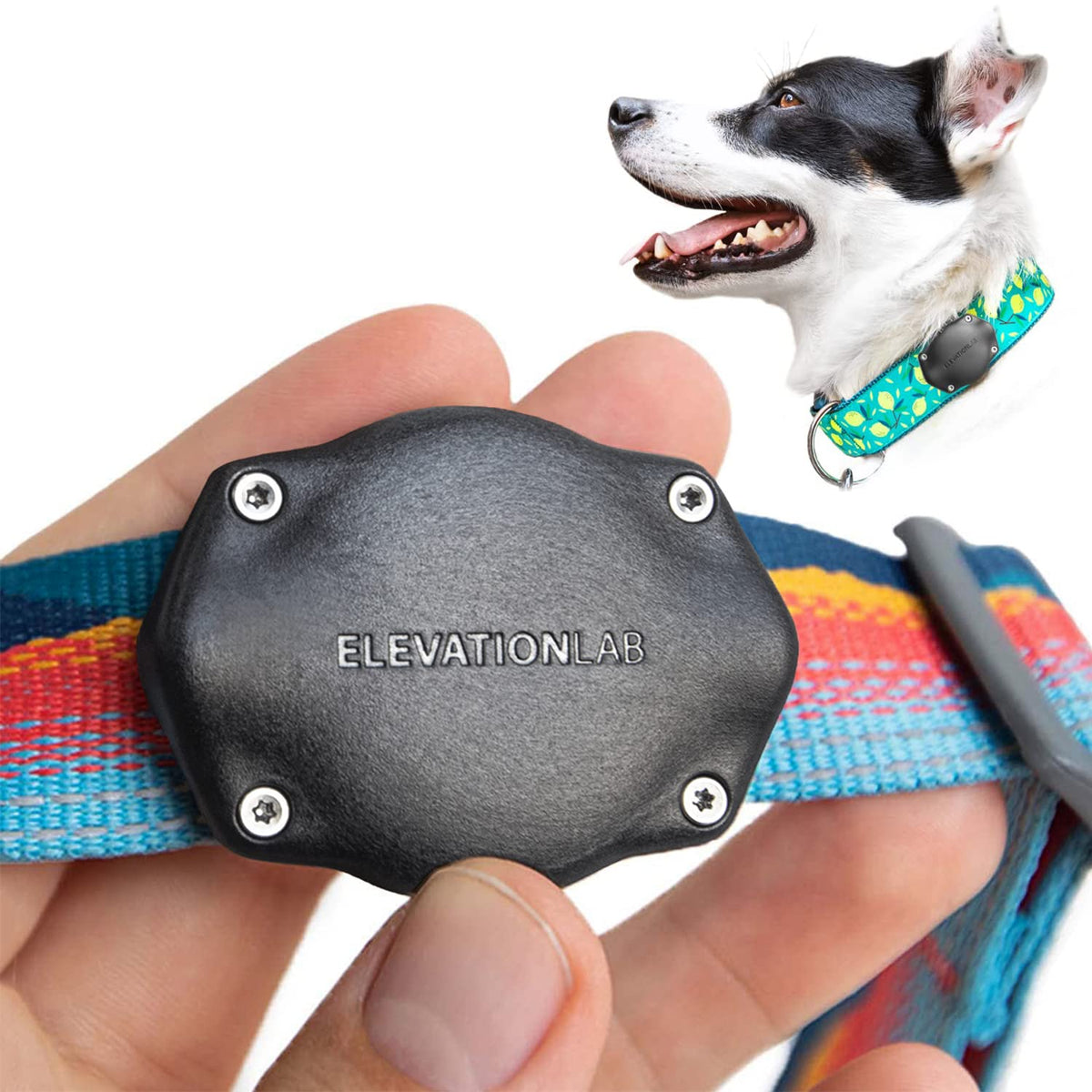 {{Product title}} | Buy from the USA & Ship Worldwide | 2PriceTags