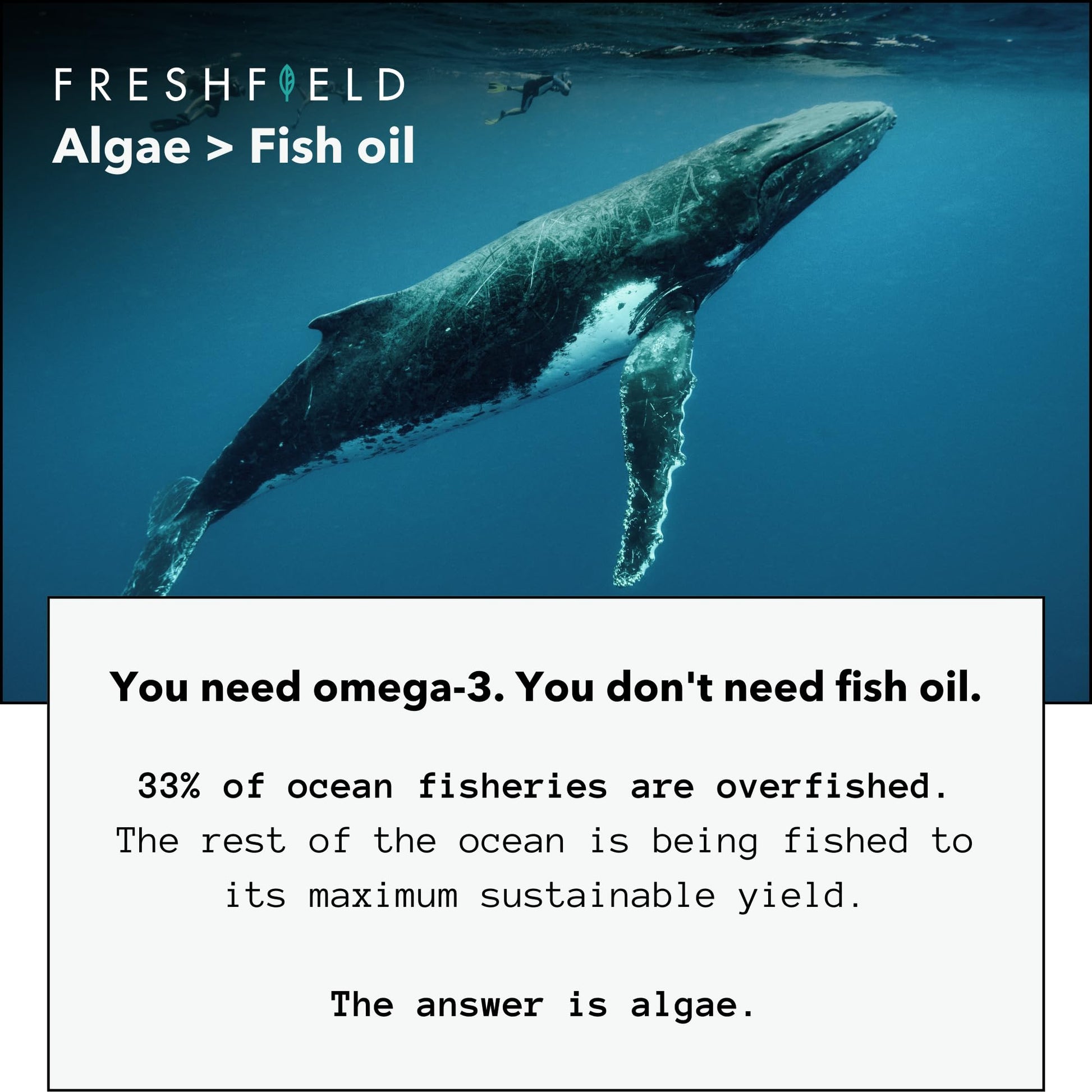 Freshfield Vegan Omega 3 DHA: Algae Oil, Most Reviewed, Carrageenan Free, Sustainably Sourced, Tested, No Heavy Metals, Fish Oil Alt, Plant Based Omega. Supports Heart, Brain, Joint Health w/DPA