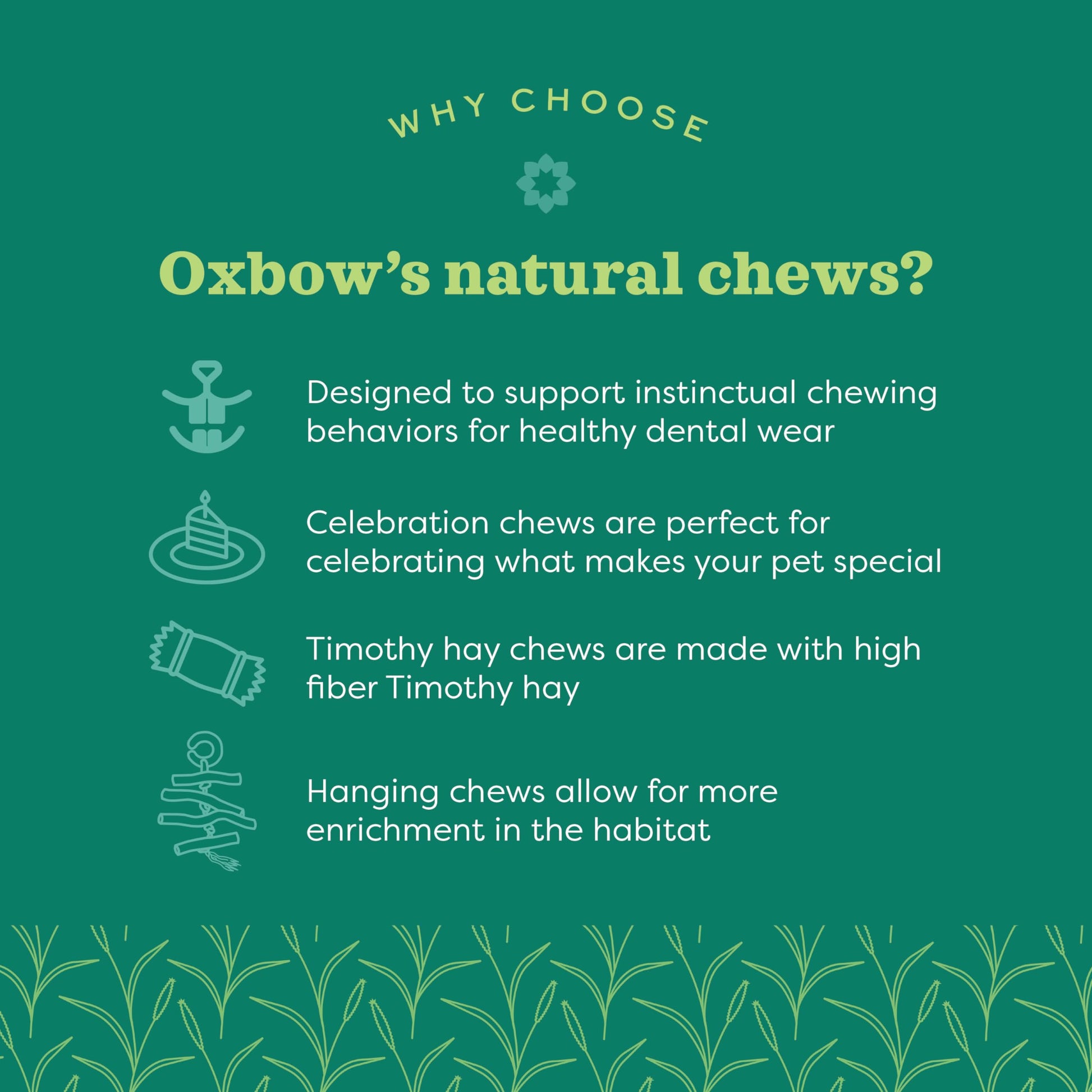 Oxbow Animal Health Timothy Club Timothy Twists 6 Count (Pack of 1)
