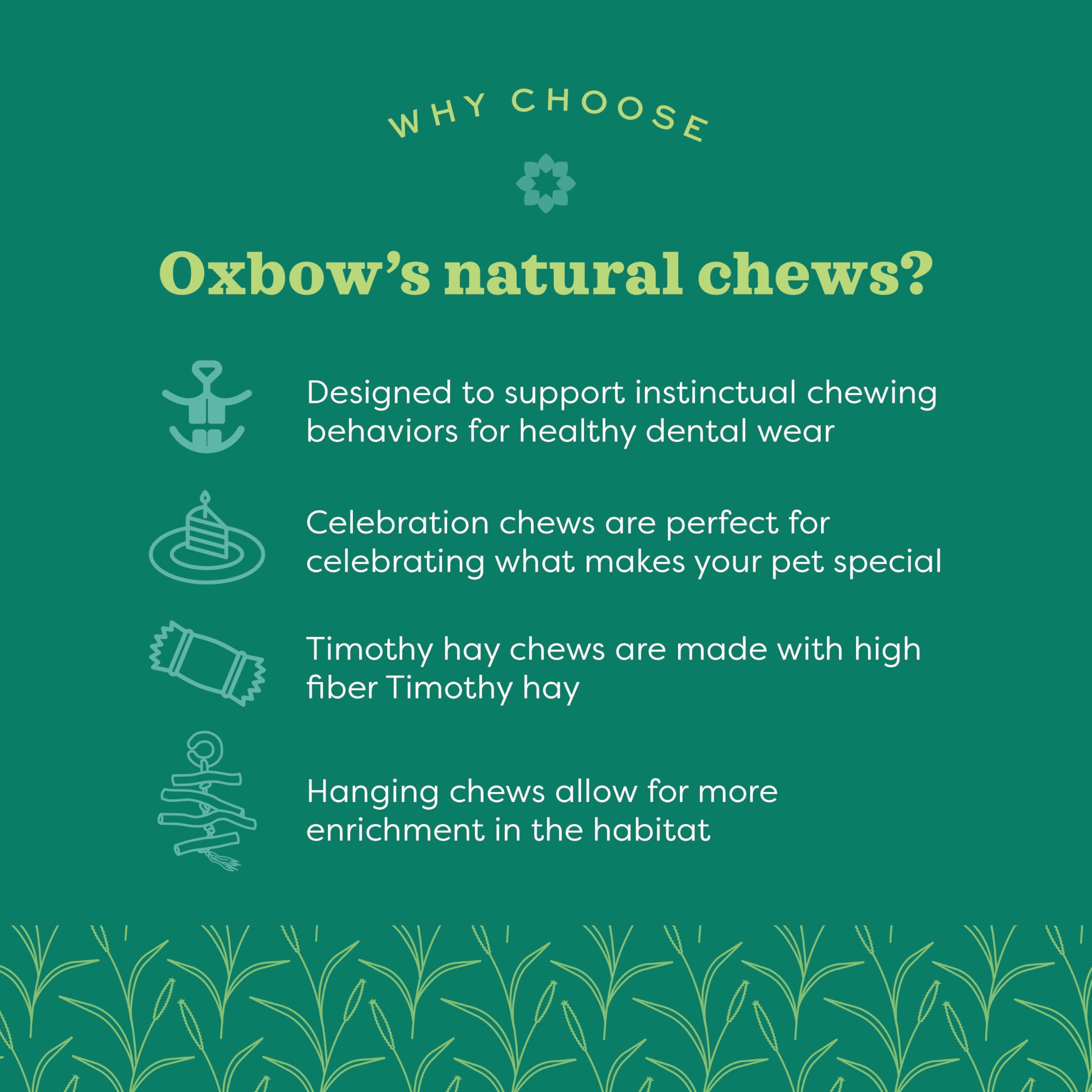 Oxbow Animal Health Timothy Club Timothy Twists 6 Count (Pack of 1)
