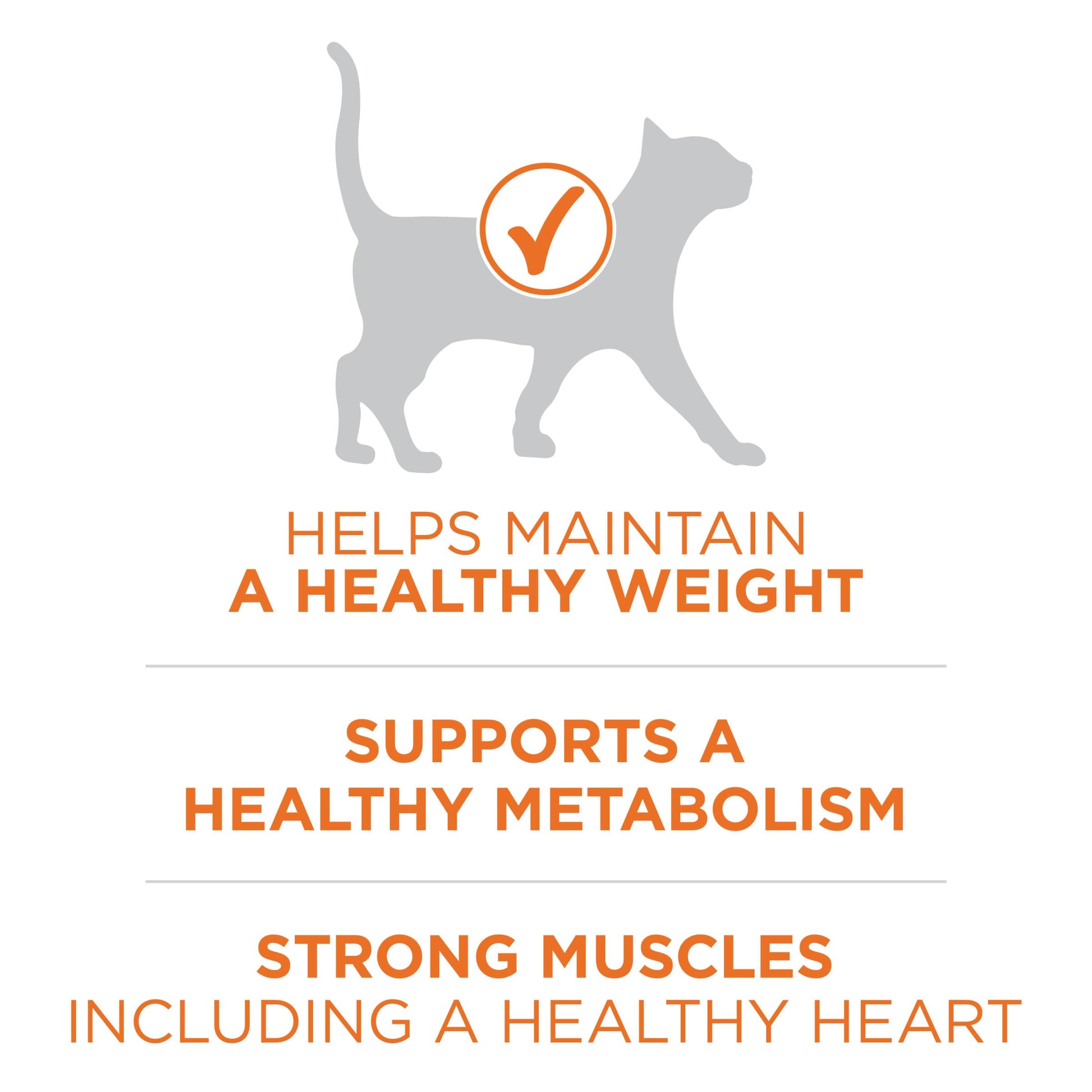 Purina ONE High Protein, Healthy Weight Plus Ideal Weigһt With Chicken Dry Cat Food Wеight Control Formula - 16 lb. Bag