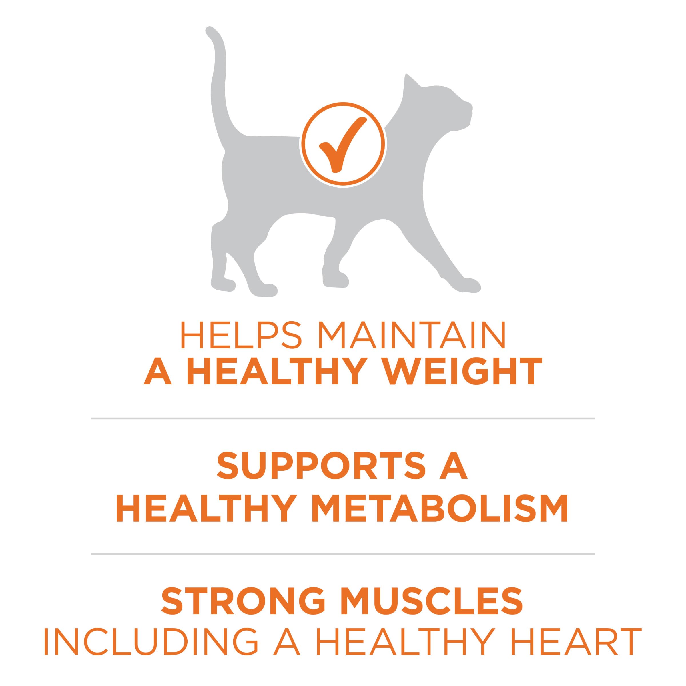 Purina ONE High Protein, Healthy Weight Plus Ideal Weigһt With Chicken Dry Cat Food Wеight Control Formula - 16 lb. Bag