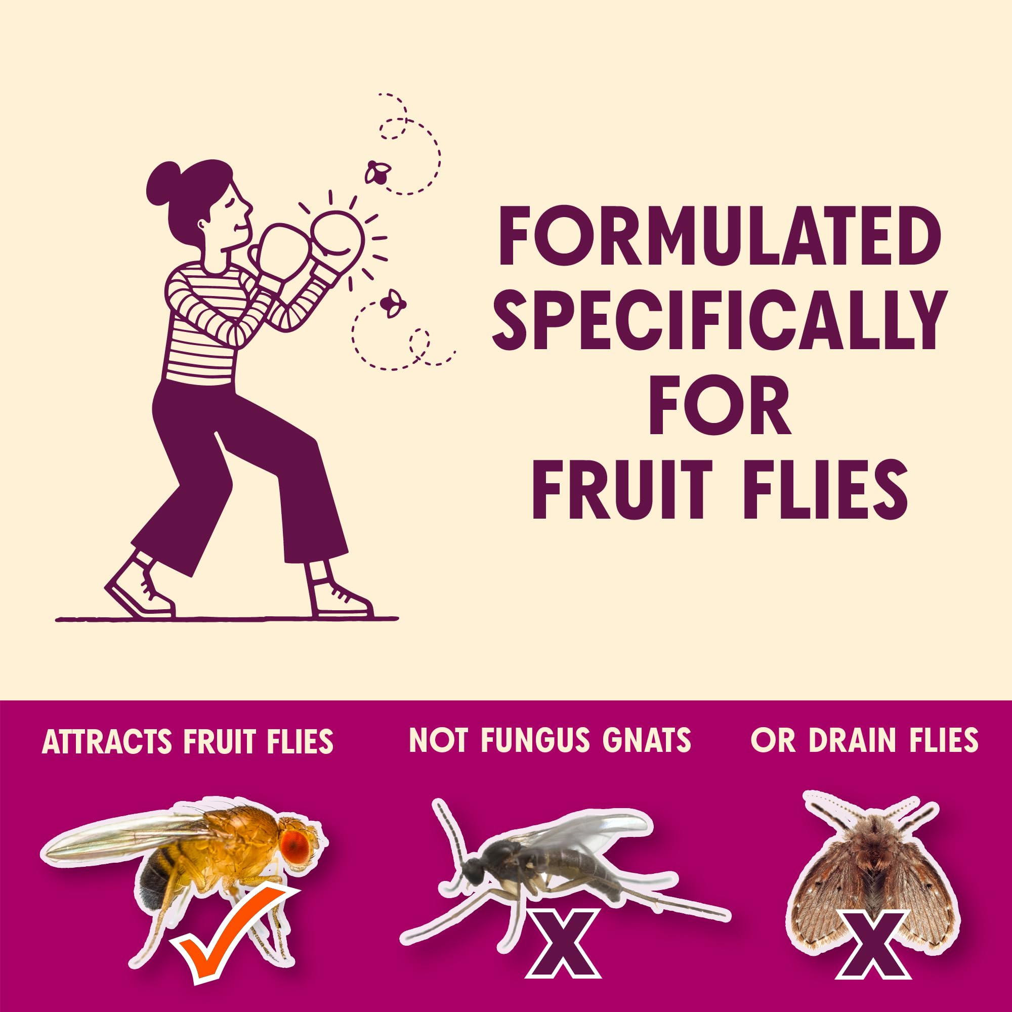 Aunt Fannie's FlyPunch Fruit Fly Trap for Indoor and Kitchen Use, Ready to Use, Made with Plant Based Ingredients, Safe Near Food, Each Bottle Lasts Up to 30 Days, Pack of 1