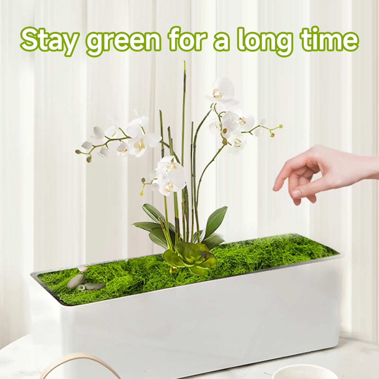 Aspamms Fake Green Moss for Potted Plants Indoor, 5.3oz Artificial Moss for Crafts, Faux Moss Decor for Fairy Garden, DIY Decorative, Model Making, Walls, Glass Containers, Home