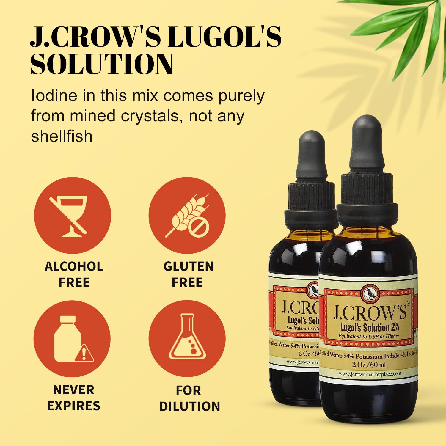 J.CROW'S® Lugol's Solution of Iodine 2% 2 oz (1 Bottle) – Premium Potassium Iodide Liquid, Supports Thyroid & Energy, Gluten &, Alcohol-Free Natural Brine Extract, No Expiration