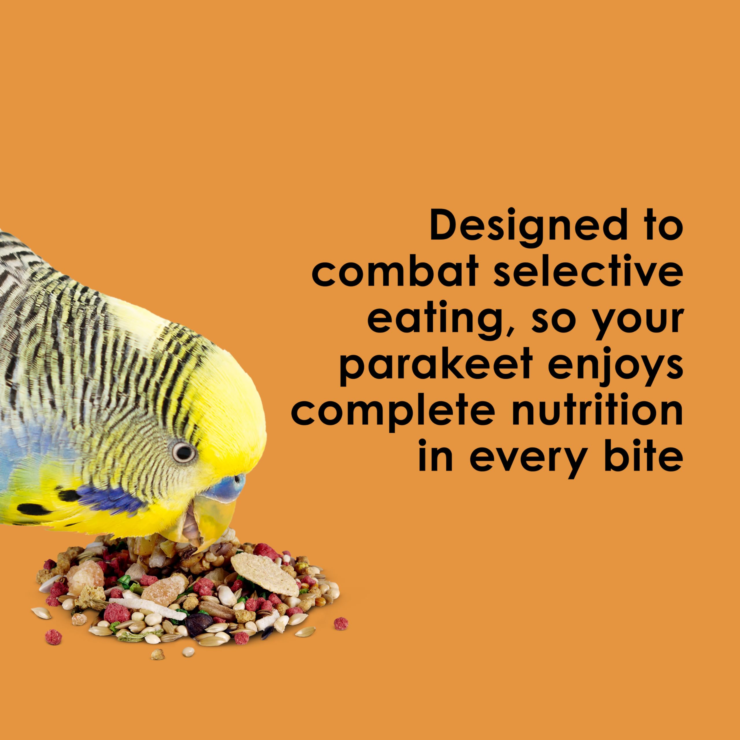 Kaytee Fiesta Parakeet Food, Nutritious and Fun Blend, Supports Skin, Feather, Digestion, Brain and Heart Health, 2 pounds