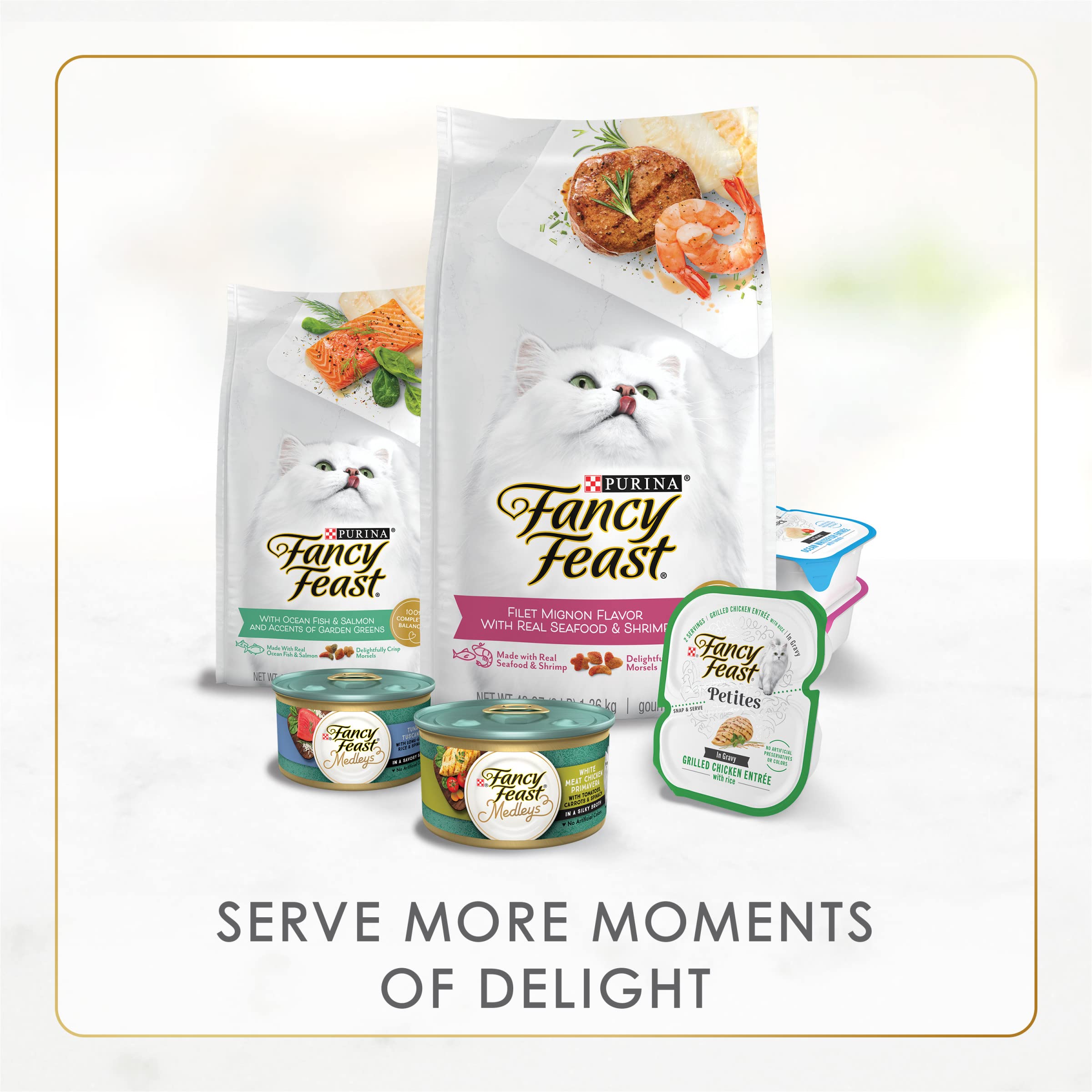 Purina Fancy Feast Gravy Lovers Beef Feast Pate in Wet Cat Food Gravy - (Pack of 24) 3 oz. Cans
