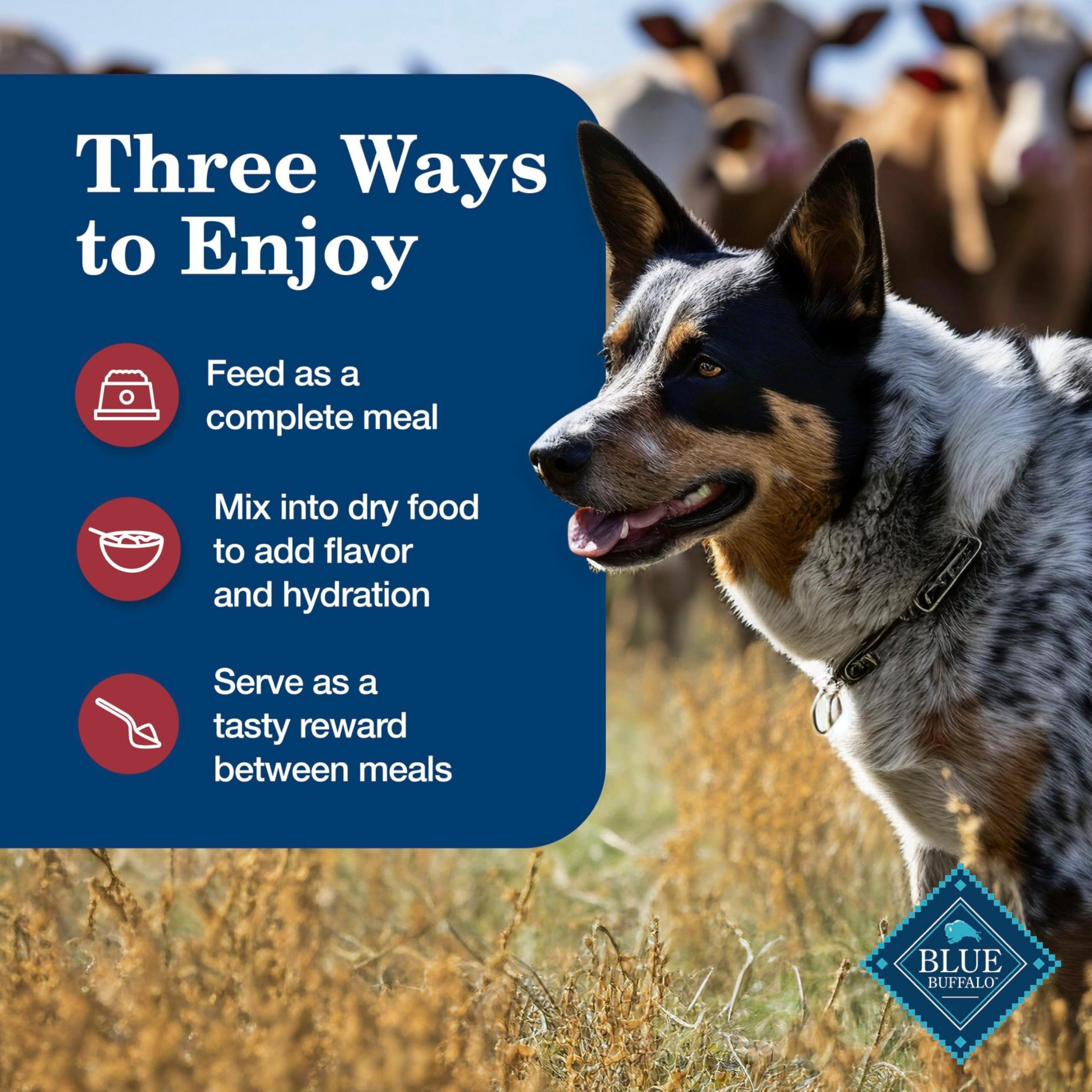 Blue Buffalo Homestyle Recipe Adult Wet Dog Food, Made with Natural Ingredients, Chicken and Beef Dinner Variety Pack, 12.5-oz Cans (6 Count, 3 of each)