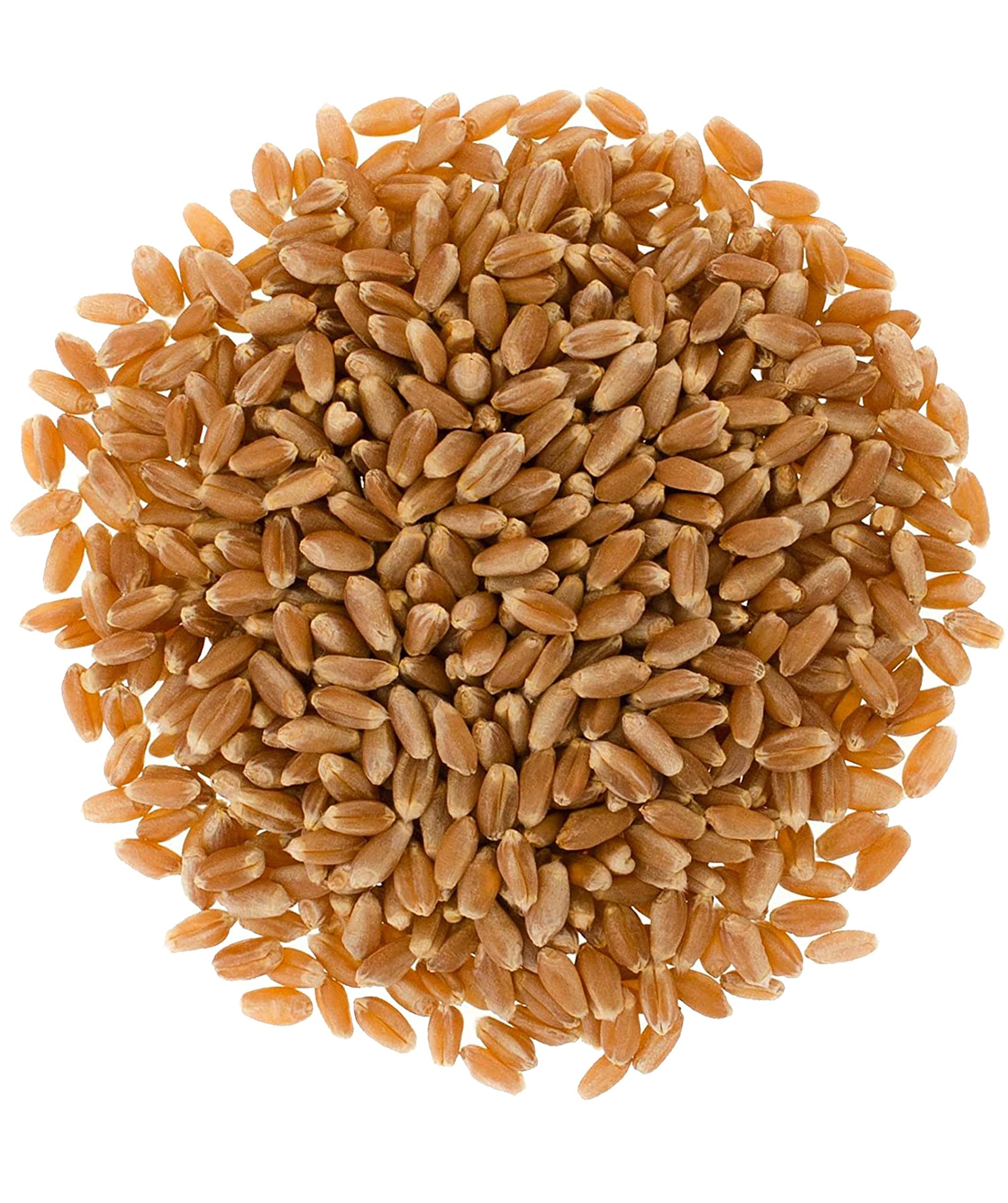Certified Glyphosate Residue Free Hard Red Winter Wheat Berries | 5 LBS | Family Farmed in Washington State | Non-GMO Project Verified | 100% Non-Irradiated | Certified Kosher Parve | Field Traced | Burlap Bag