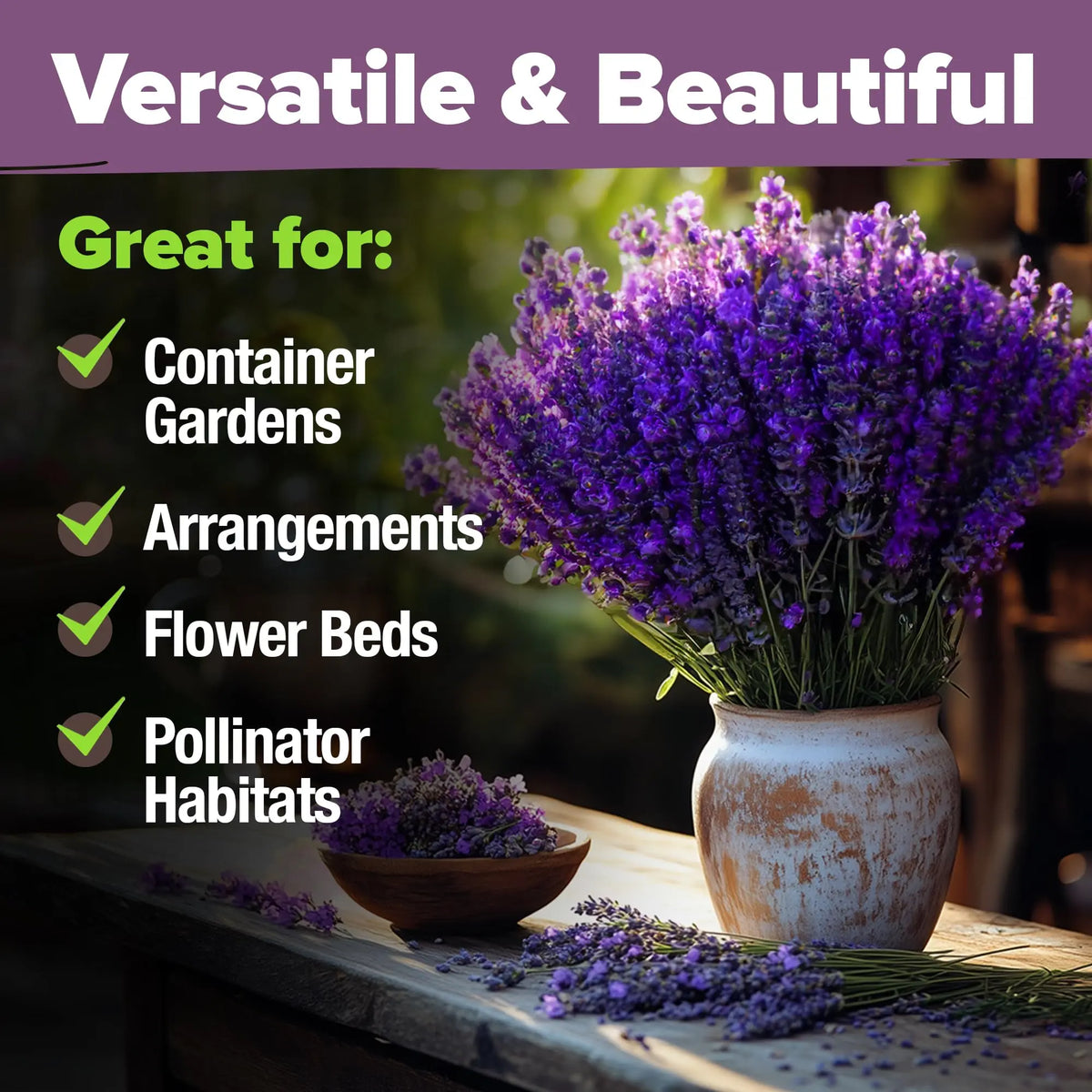 {{Product title}} | Buy from the USA & Ship Worldwide | 2PriceTags