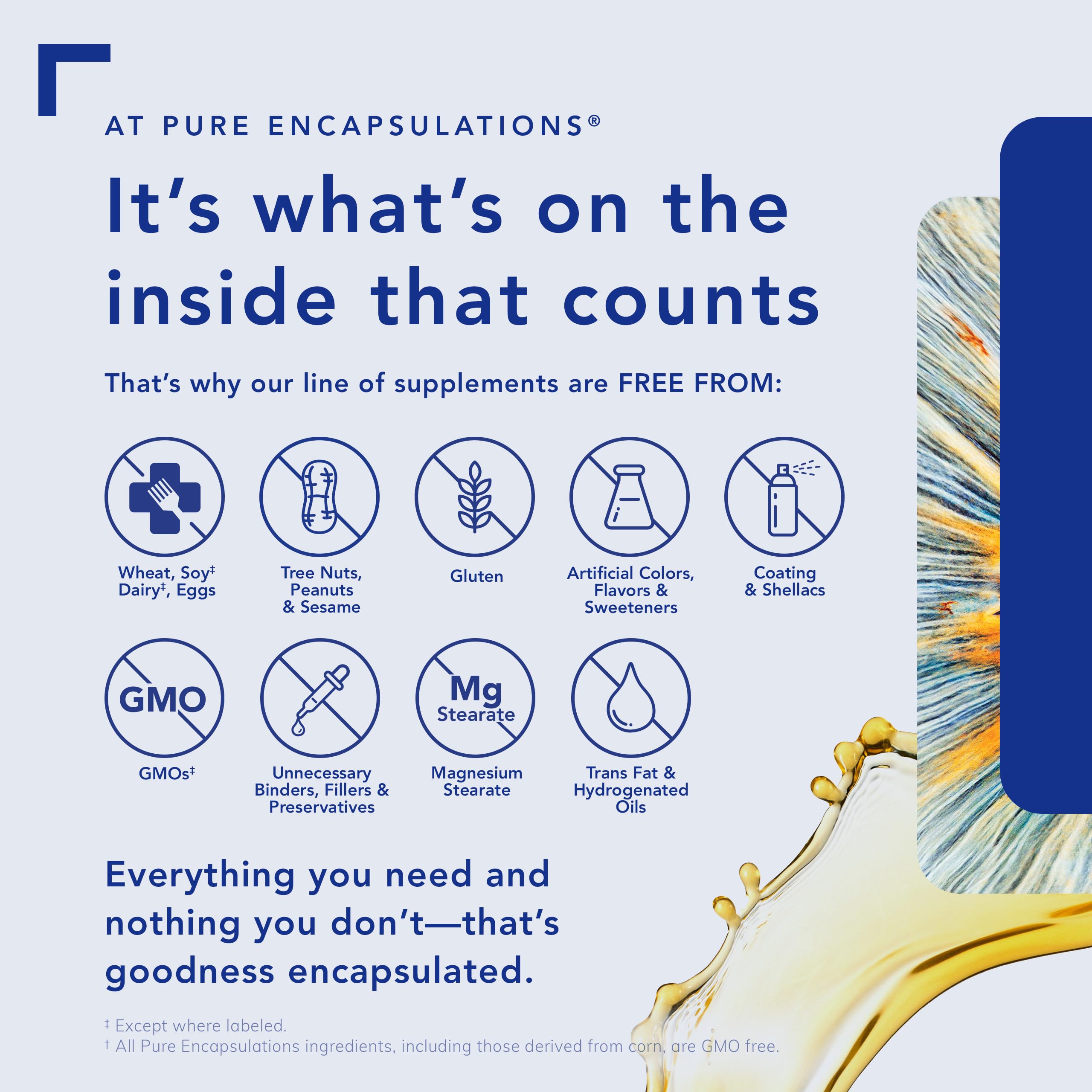 Pure Encapsulations إل-ثيانين - مكمل غذائي حمضي أميني لدعم الاسترخاء والتوتر والجهاز العصبي - 60 كبسولة
