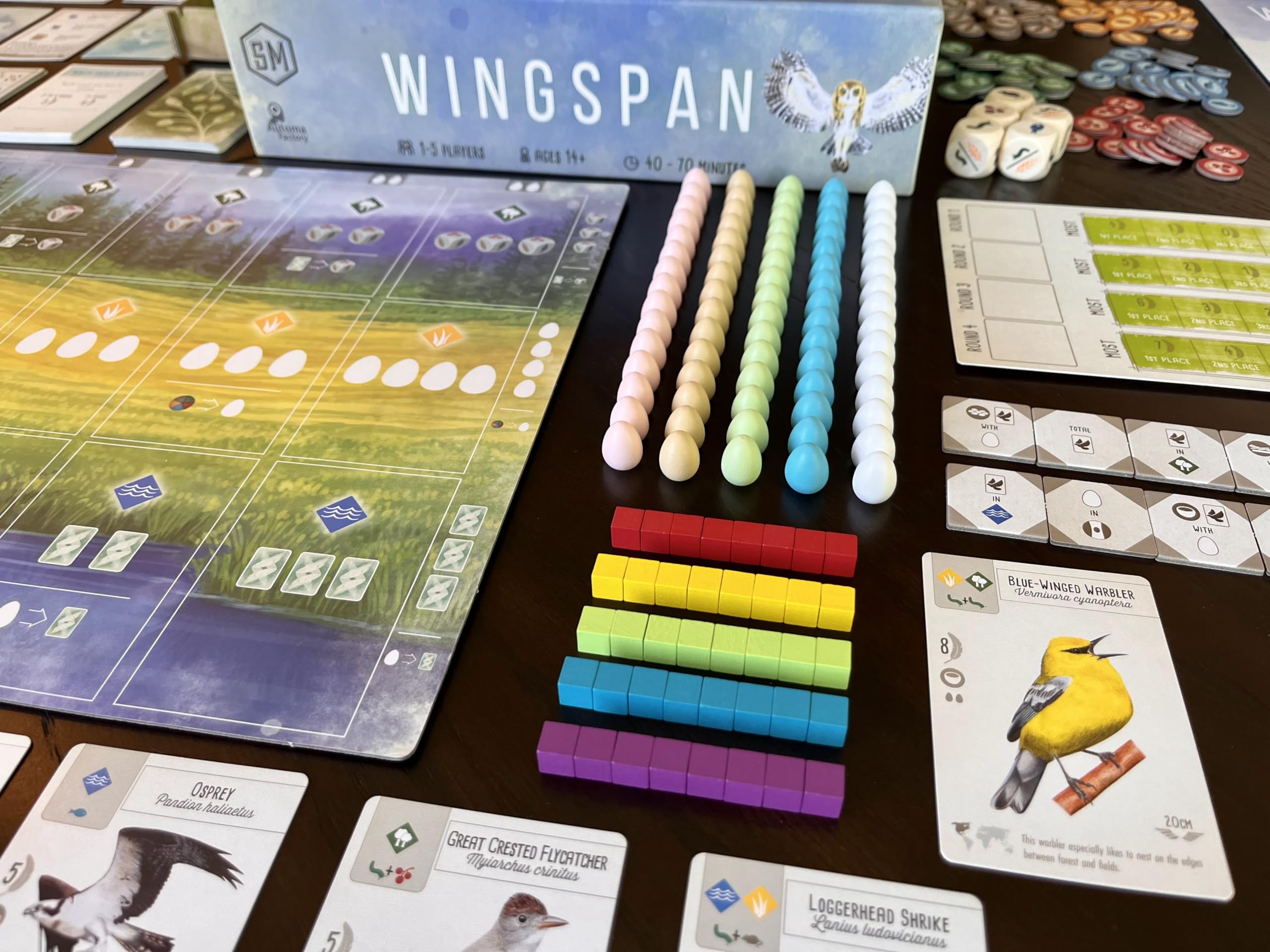 Stonemaier Games: Wingspan (Base Game) by Elizabeth Hargrave | A Relaxing, Award-Winning Strategy Board Game About Birds for Adults and Family | 1-5 Players, 70 Mins, Ages 14+