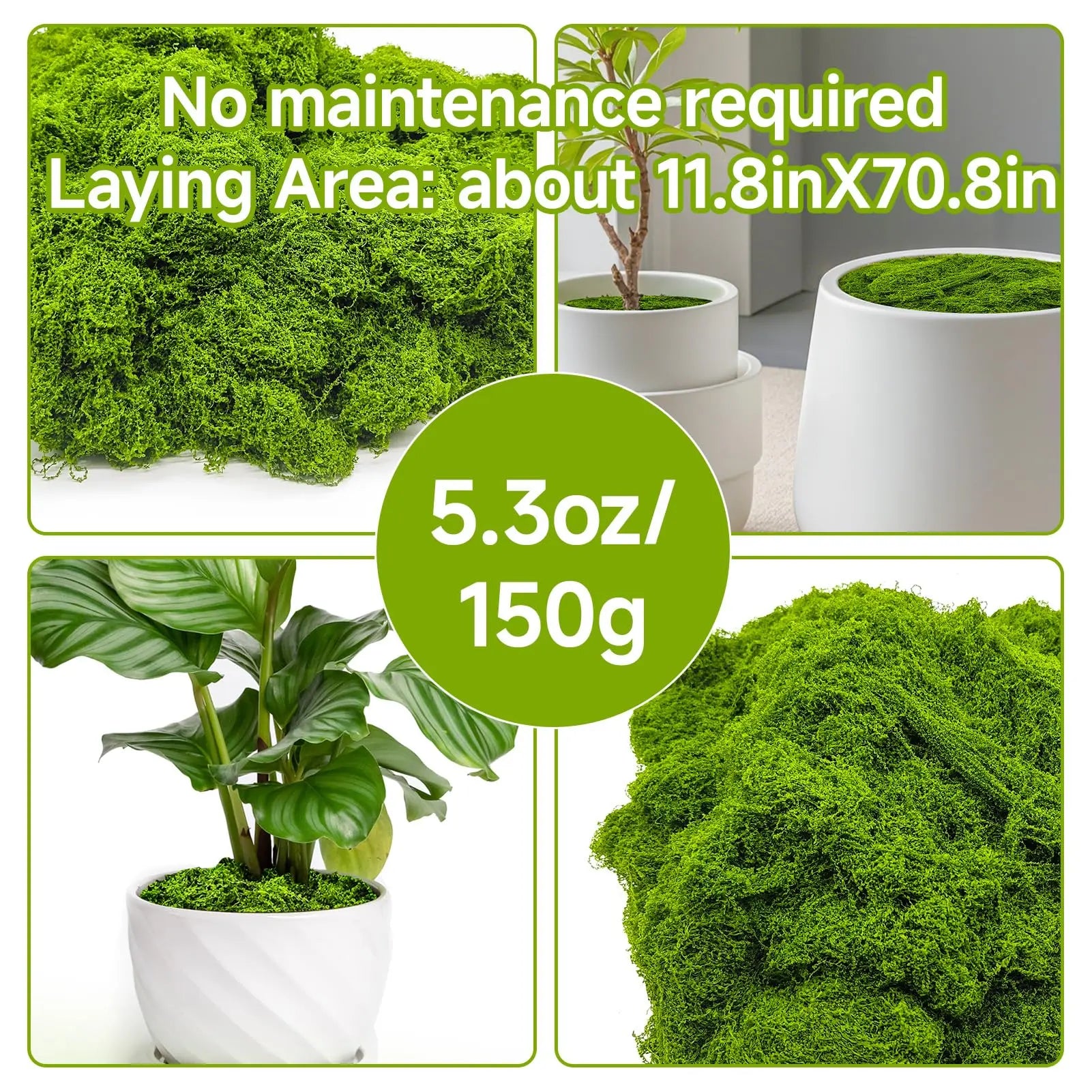 Aspamms Fake Green Moss for Potted Plants Indoor, 5.3oz Artificial Moss for Crafts, Faux Moss Decor for Fairy Garden, DIY Decorative, Model Making, Walls, Glass Containers, Home
