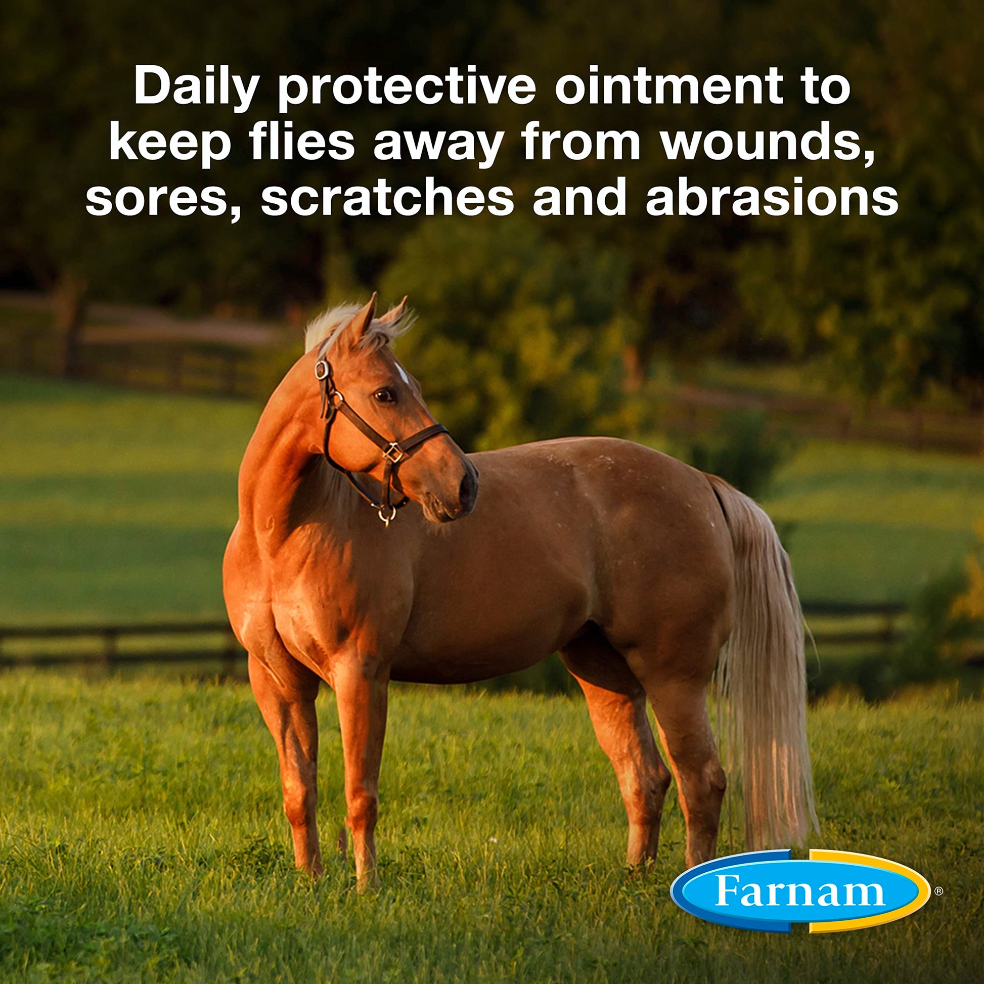 Farnam SWAT Clear Fly Repellent Ointment for Horses, Repels House, Stable, Face & Horn Flies, Protects Wounds on Horses, Ponies & Dogs, 7 oz.