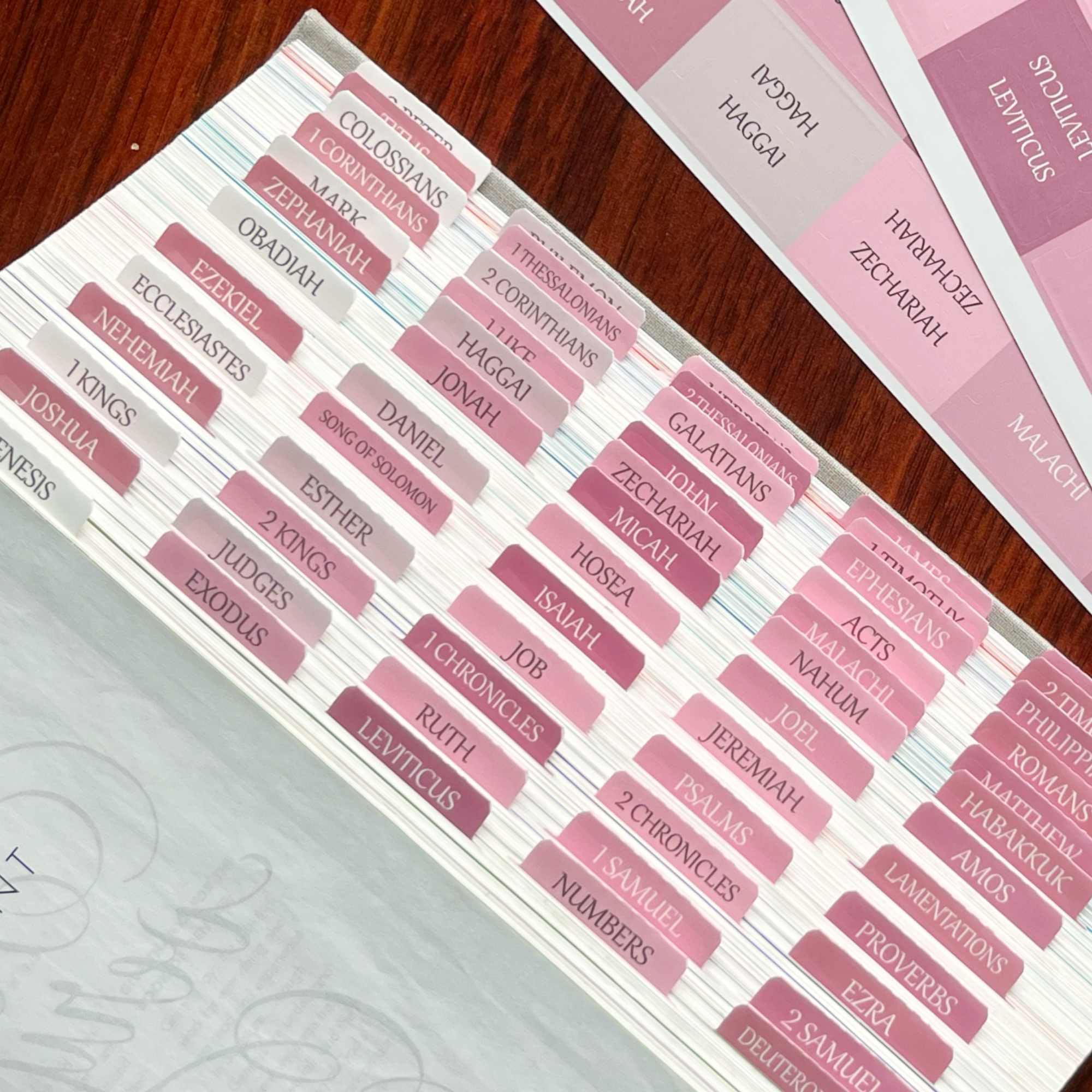 Laminierte Bibelregister, repositionierbare Großdruck-Aufkleber, leicht lesbare und anzubringende Bibelregister für Frauen und Männer (Weiß-Rosa)
