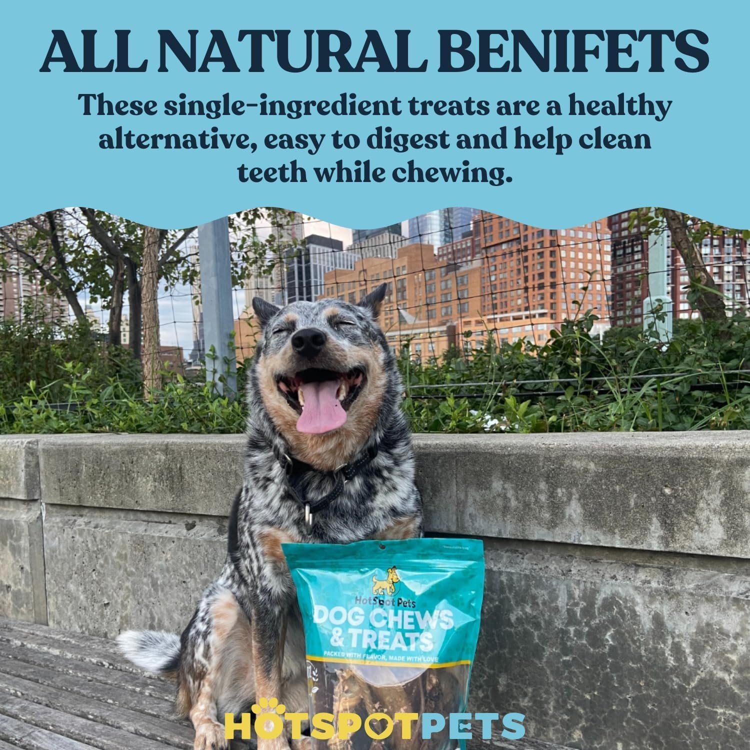 hotspot pets Premium Split Elk Antlers for Dogs - 7 Inch Large Dog Chews (2 Pack) Made in USA -Naturally Shed Antler Bone for Large Breed Aggressive Chewers -Promotes Natural Dental Hygiene