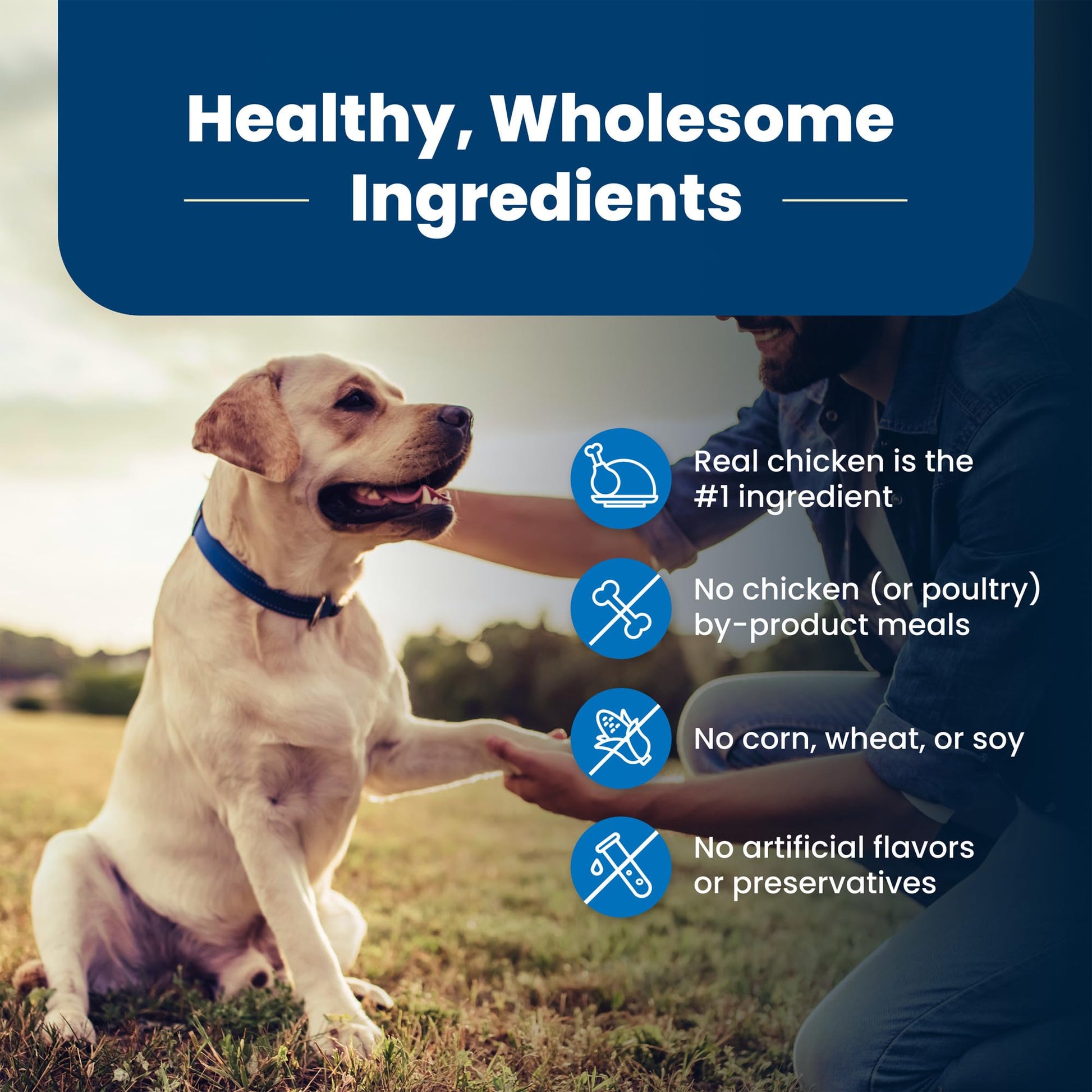 Blue Buffalo Life Protection Formula Natural Senior Dry Dog Food, Chicken and Brown Rice 5-lb Trial Size Bag