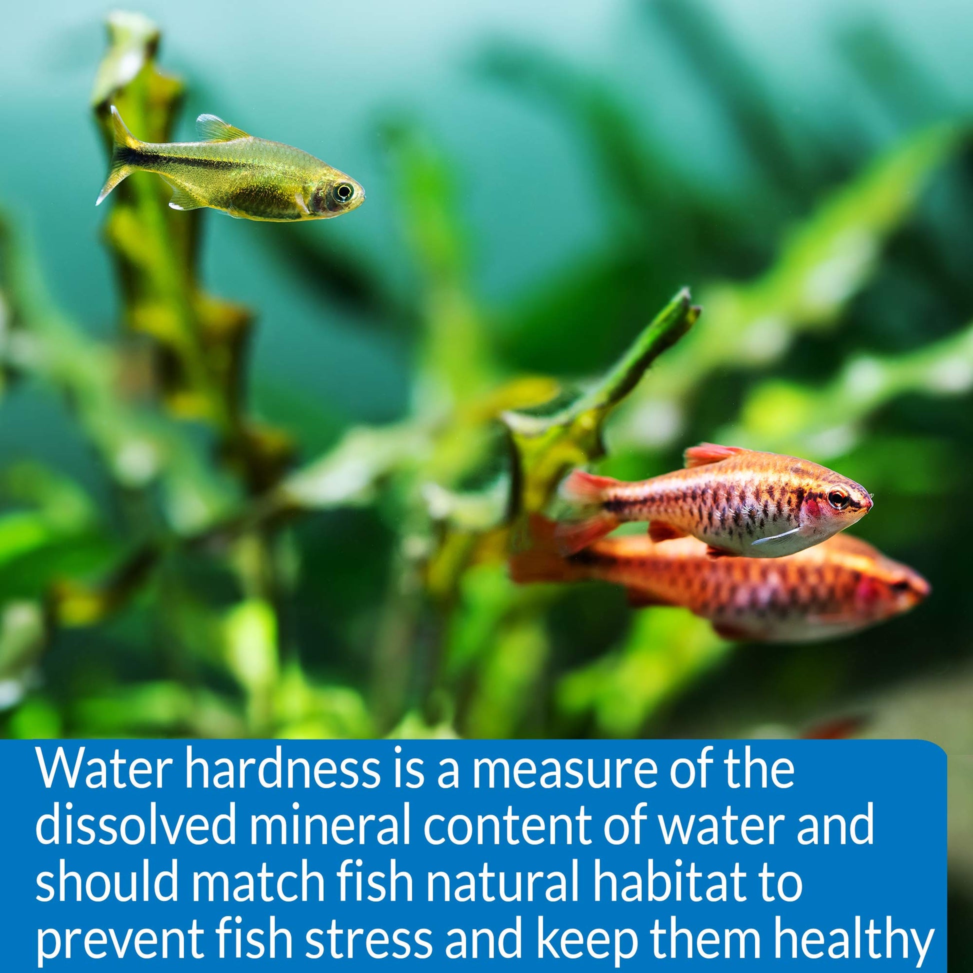 API GH & KH TEST KIT Freshwater Aquarium Water Test Kit, 2.5 oz.