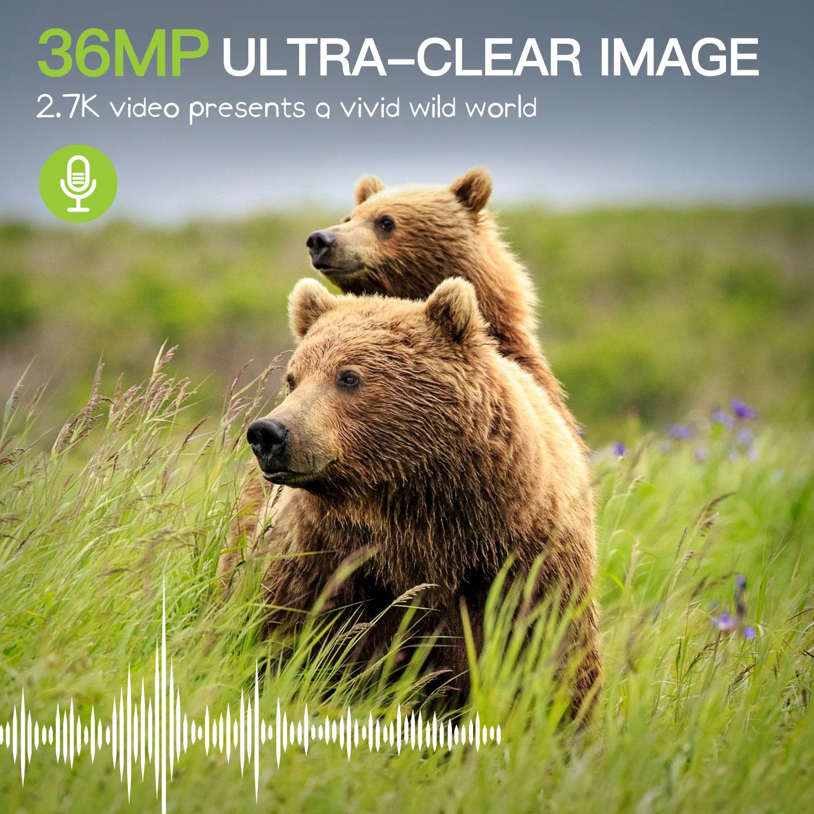 Punvoe Trail Camera 2 Pack 36 MP 2.7K Game Camera 32GB Memory Card 4 Batteries Time 2.0" LCD Screen, Trail Cameras with 120°Wide Night Vision IP66 Waterproof for Monitoring Wildlife Trail Cam