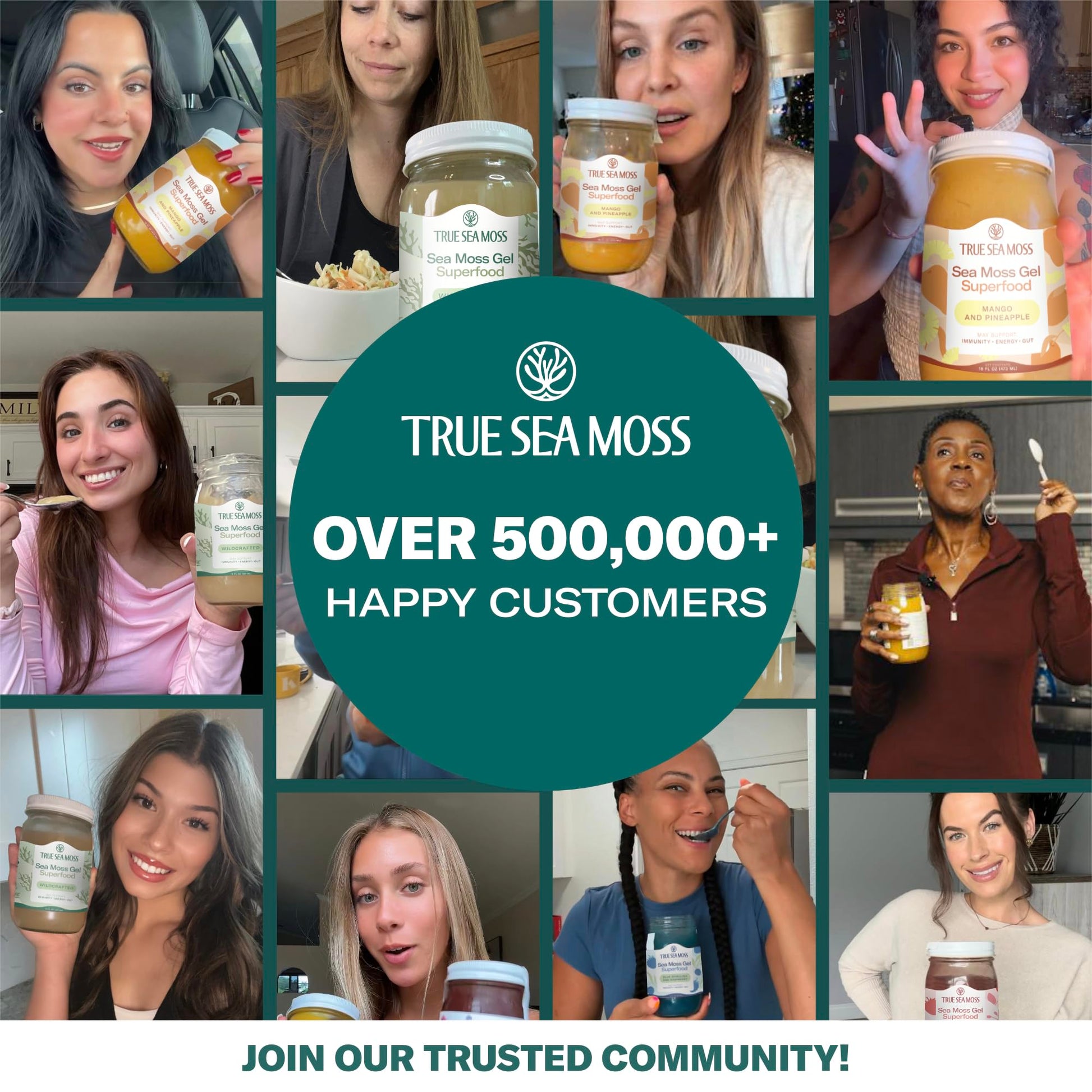 TrueSeaMoss Sea Moss Gel – Made in USA – Wildcrafted Seamoss, Fresh Fruits & Sea Vegetables – Mango/Pineapple, Pack of 1 (Labels may Vary)