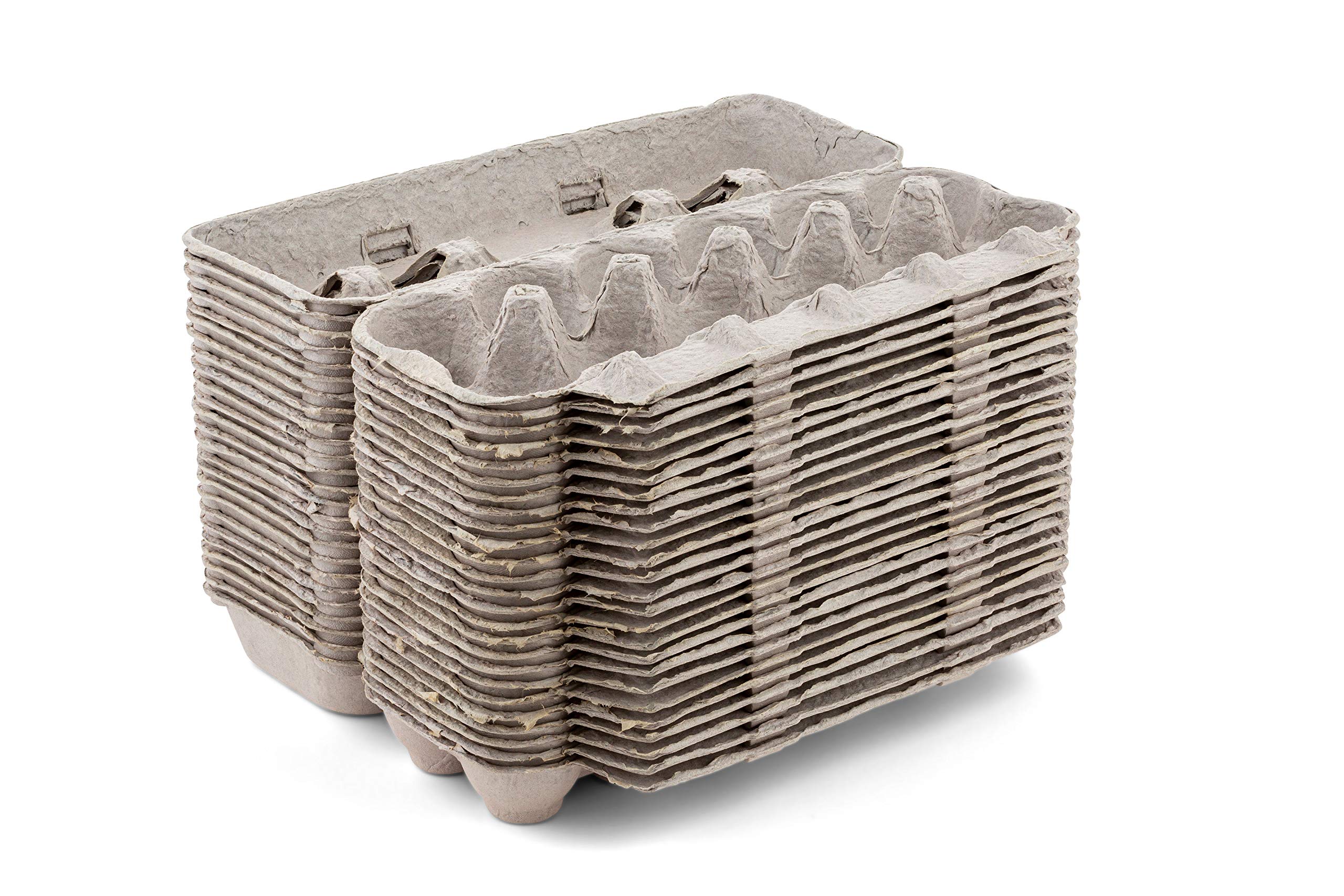 MT Products Blank Natural Pulp Egg Cartons Bulk Holds Up to Twelve Eggs - 1 Dozen - Cardboard Material Perfect For Storing Extra Eggs (25 Pieces) - Made in USA